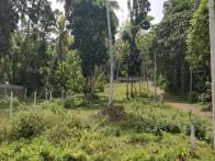 British Brokers is delighted to offer for sale this excellent rectangular plot of bare land on the TFL Road in Dampe, Bolgoda.

Benefiting from ...